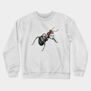 odorous ant Crewneck Sweatshirt